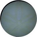 Ruth Michniewicz profile picture